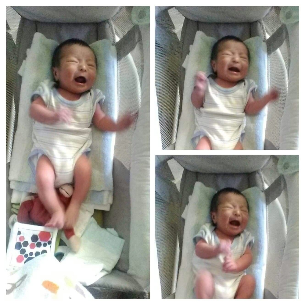 Meet your Posher, Susan